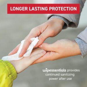 WipeEssentials Hand Sanitizer Hand Wipes for Adults and Kids – 90 wipes – 3 Packs of 30ct Hand Sanitizing Wipes, Travel Essentials