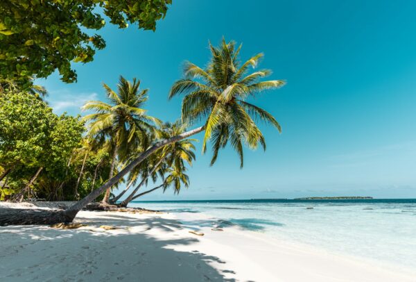 Top 10 Dreamy Islands for Your Next Vacation Getaway
