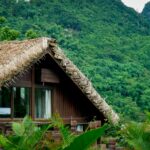 Thatched cabin in a lush green forest – eco-tourism and responsible travel