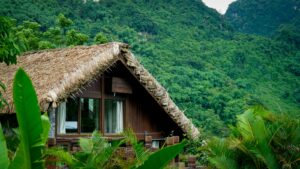 Read more about the article Eco-Tourism: Traveling Responsibly for a Greener Planet